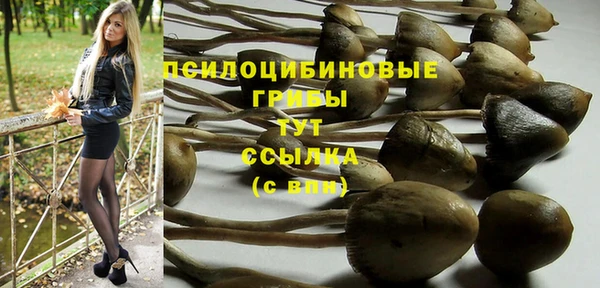 МДМА Мегион