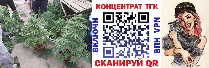 ТГК вейп с тгк  Циолковский 